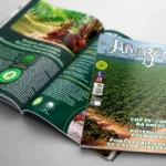 Revista Amazônia 136 - Dezembro 2024