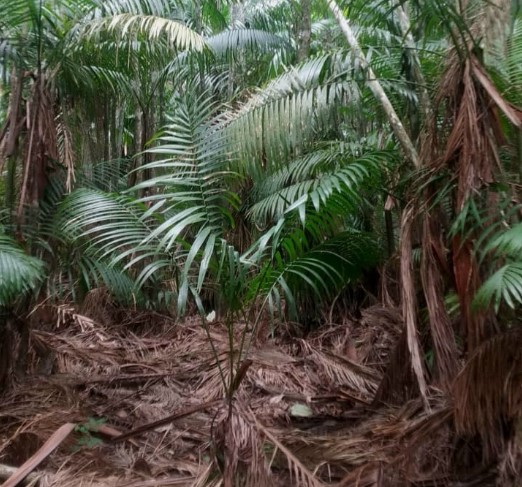 Screenshot 2024 12 05 172019