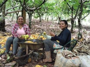 Screenshot 2024 12 05 172145