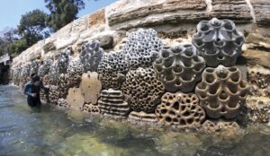 Screenshot 2024 12 06 123702