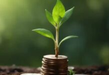 Itaú lança novo fundo de crédito com foco em investimentos sustentáveis na Amazônia Legal Itaú