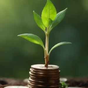 Itaú lança novo fundo de crédito com foco em investimentos sustentáveis na Amazônia Legal Itaú