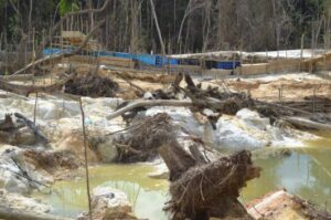 Garimpos ilegais de ouro geram emissões de carbono e aumentam a contaminação por mercúrio no solo 1 Screenshot 2024 12 09 105650
