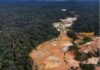 Garimpos ilegais de ouro geram emissões de carbono e aumentam a contaminação por mercúrio no solo garimpo