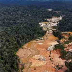 Garimpos ilegais de ouro geram emissões de carbono e aumentam a contaminação por mercúrio no solo garimpo