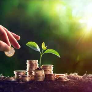 Países ricos têm potencial para mobilizar US$ 5 trilhões anuais em financiamento climático países