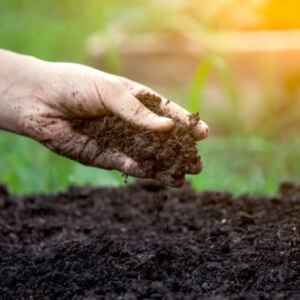 Uso inteligente do solo é essencial para mitigar as mudanças climáticas, afirma especialista uso