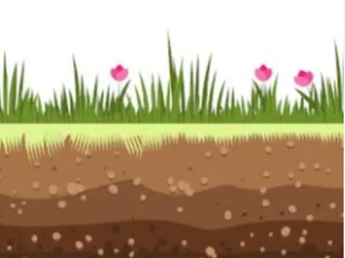 Screenshot 2024 12 16 121450