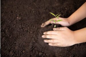 Screenshot 2024 12 16 121727