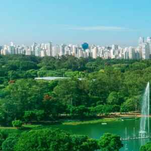 Cidades líderes na ação climática: Seis exemplos inspiradores no combate à crise global cidades