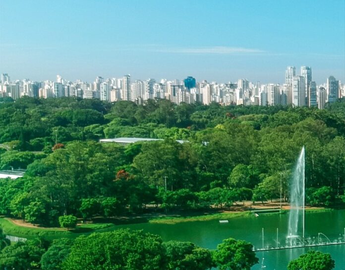 Screenshot 2024-12-18 180138 cidades