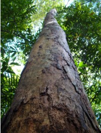 Screenshot 2024 12 20 162853