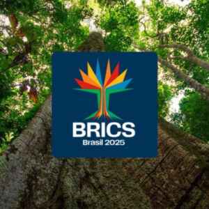 Samaúma é a logomarca do Brics Brasil: Árvore amazônica que reflete os objetivos do grupo árvore