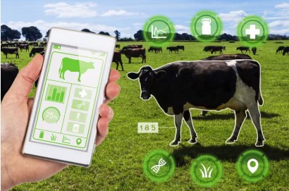 A Revolução Tecnológica no Campo: Como o "RG do Boi" Transforma a Pecuária Brasileira 1 Screenshot 2024 12 20 175133