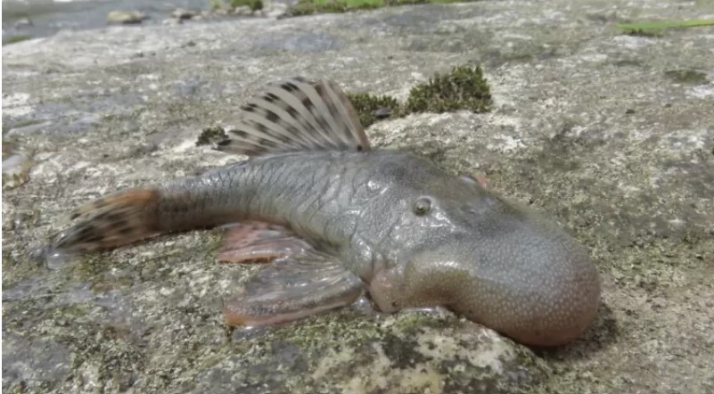 Screenshot 2024 12 23 234151