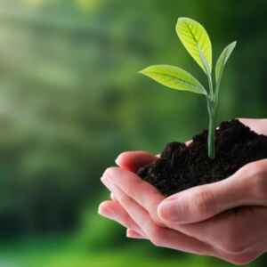 Oportunidades do Mercosul-União Europeia para o Agronegócio Sustentável Brasileiro agronegócio