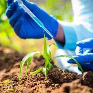 Governo Federal sanciona lei sobre uso de bioinsumos na agropecuária bioinsumos