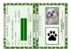 Animais domésticos terão direito a RG com cadastro nacional animais