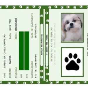 Animais domésticos terão direito a RG com cadastro nacional animais