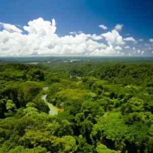 Futuro da sustentabilidade nas empresas em 2025: As mudanças climáticas e a preservação florestal sustentabilidade