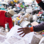 Rastreabilidade e Transparência: Garantias do CCM Rastreabilidade no CCM: A Chave para a Sustentabilidade