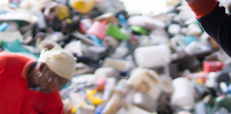 Rastreabilidade no CCM: A Chave para a Sustentabilidade