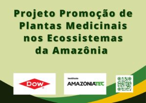 O Poder das Plantas Medicinais na Amazônia: PROMED e a Revolução Sustentável