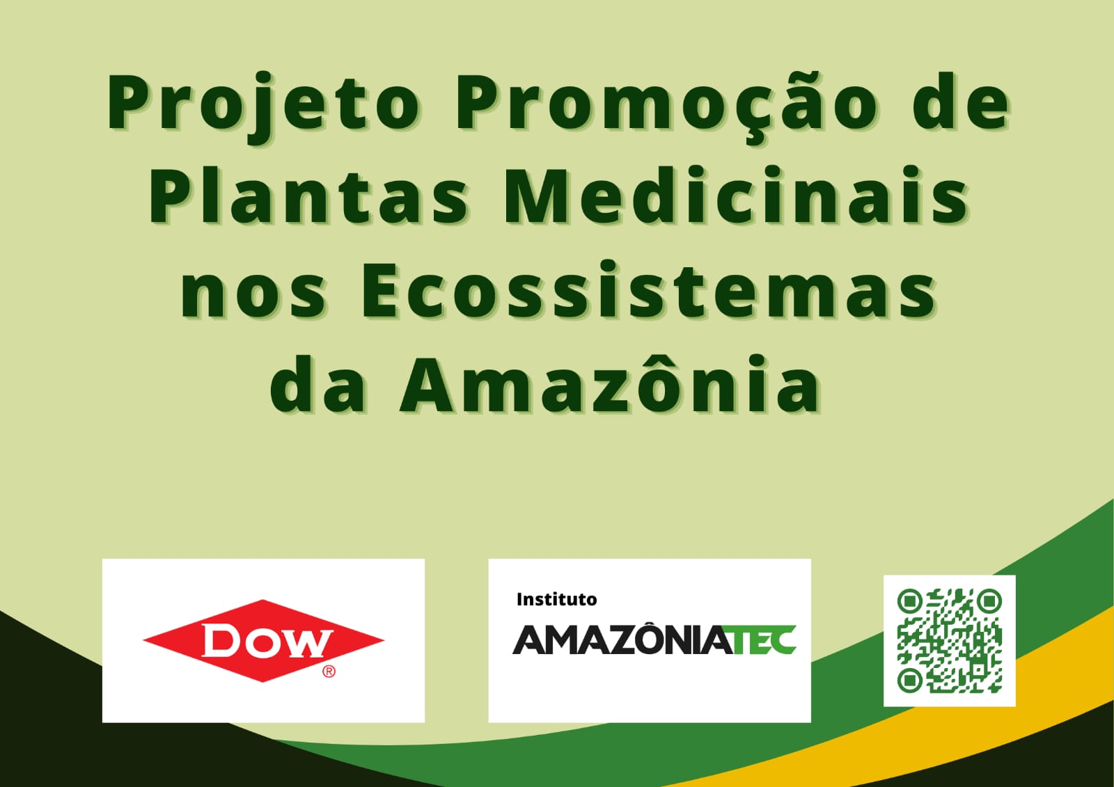 WhatsApp-Image-2024-12-19-at-15.28.22 Artigo 1: O Poder das Plantas Medicinais na Amazônia: PROMED e a Revolução Sustentável