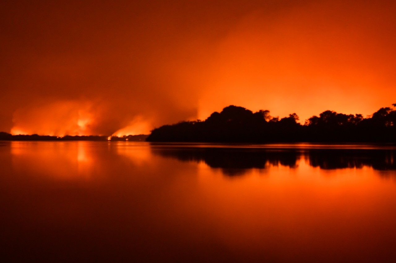 incendios amolar pantanal foto andrezumak 6