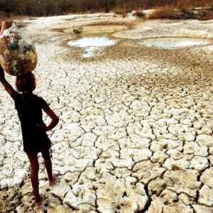 Secas e degradação da terra Já afetam quase 50% da população global terra