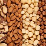 Cultivo de Oleaginosas Amazônicas