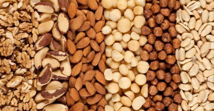 Cultivo de Oleaginosas Amazônicas