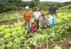 Governo cria programa para pesquisa e inovação em agricultura familiar e agroecologia programa