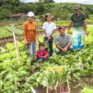 Governo cria programa para pesquisa e inovação em agricultura familiar e agroecologia programa