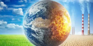 Crescimento verde – 30% das regiões em todo o mundo alcançam crescimento económico ao mesmo tempo que reduzem as emissões de carbono.webp