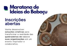 Inscrições abertas para Maratona de Ideias do Babaçu envolvendo professores e estudantes professores