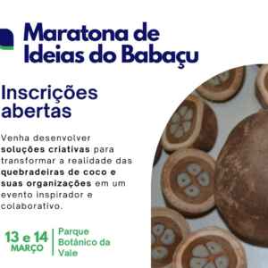 Inscrições abertas para Maratona de Ideias do Babaçu envolvendo professores e estudantes professores