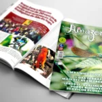 Revista Amazônia 137 Edição de Janeiro de 2025
