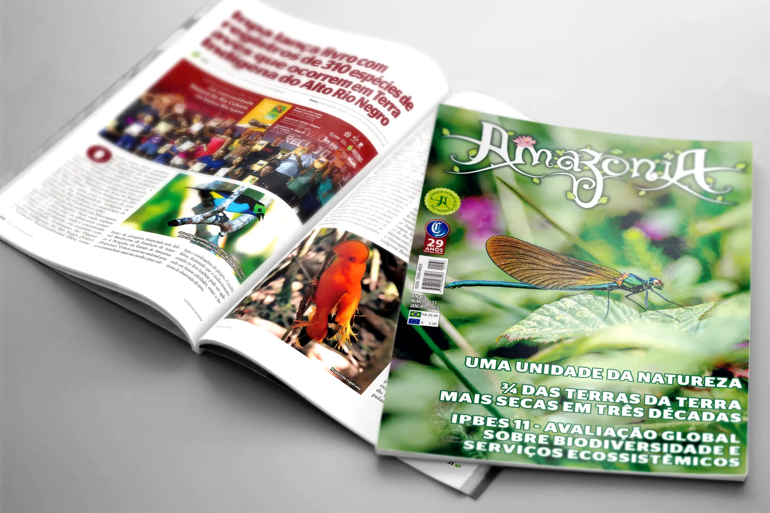 Revista Amazônia edição janeiro 2025 já está disponível 5 Revista Amazônia 137 Edição de Janeiro de 2025