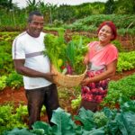 Compras públicas elevam a renda de agricultores familiares em até 106% renda