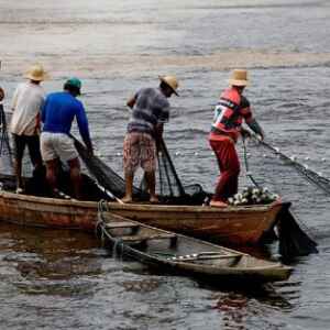 Seguro-defeso: 378,8 mil benefícios concedidos automaticamente com uso de biometria seguro