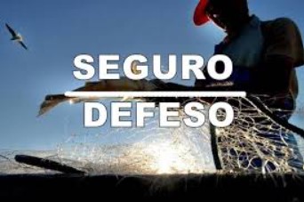 Screenshot 2025 01 08 172532