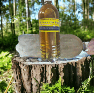 Screenshot-2025-01-09-122359-300x297 Pesquisadores da Uepa investigam fármacos derivados de sementes amazônicas para tratamento de feridas