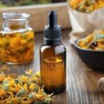 Pesquisadores da Uepa investigam fármacos derivados de sementes amazônicas para tratamento de feridas uepa