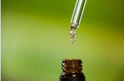 Screenshot-2025-01-09-122626 Pesquisadores da Uepa investigam fármacos derivados de sementes amazônicas para tratamento de feridas