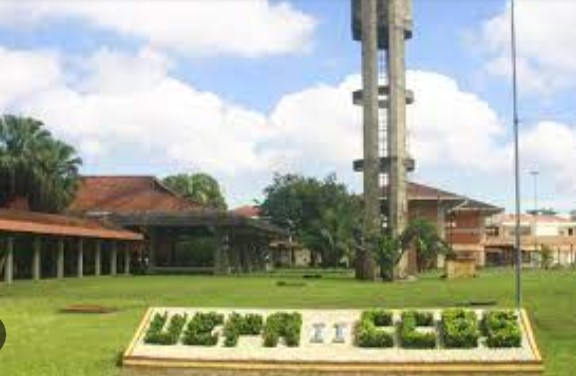 Screenshot-2025-01-09-123503 Pesquisadores da Uepa investigam fármacos derivados de sementes amazônicas para tratamento de feridas