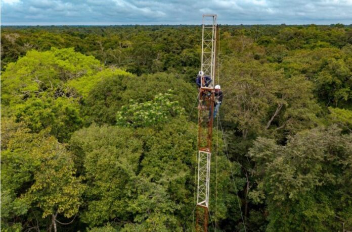 Screenshot 2025-01-09 151517 gases