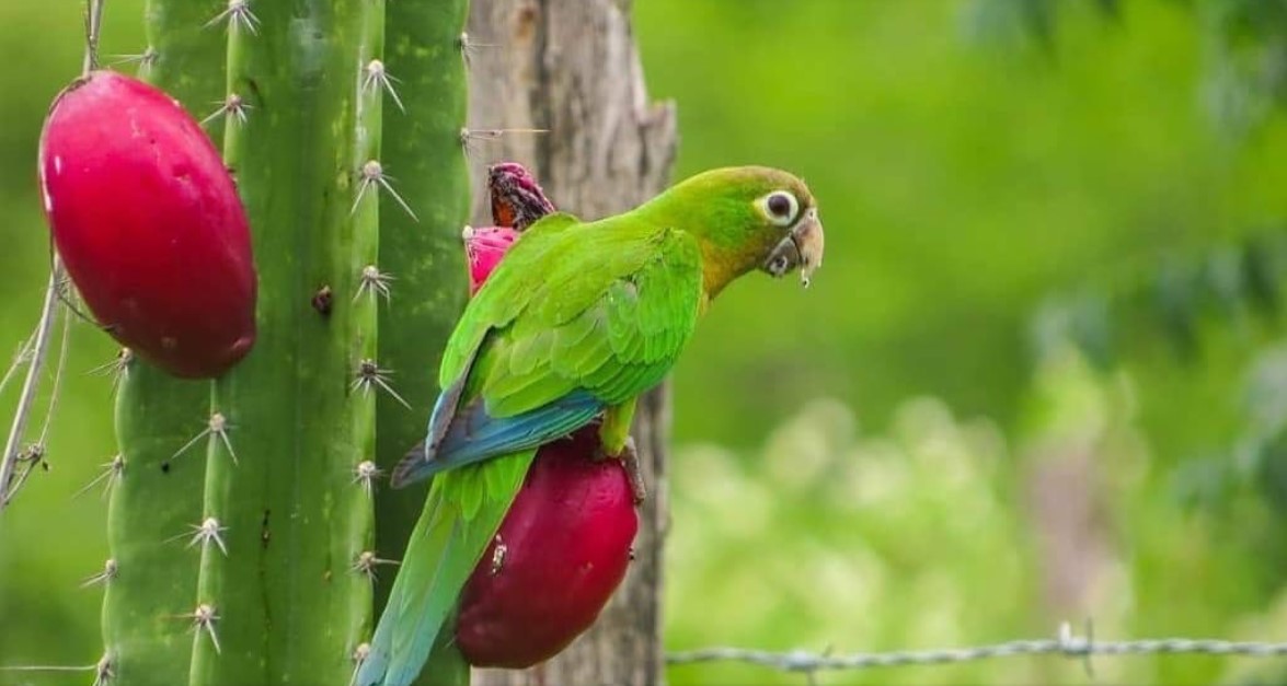 Screenshot 2025 01 10 163357