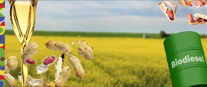 Screenshot 2025-01-13 180030 biodiesel