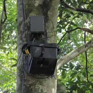 Tecnologia inova no monitoramento da biodiversidade e clima da Amazônia Amazônia